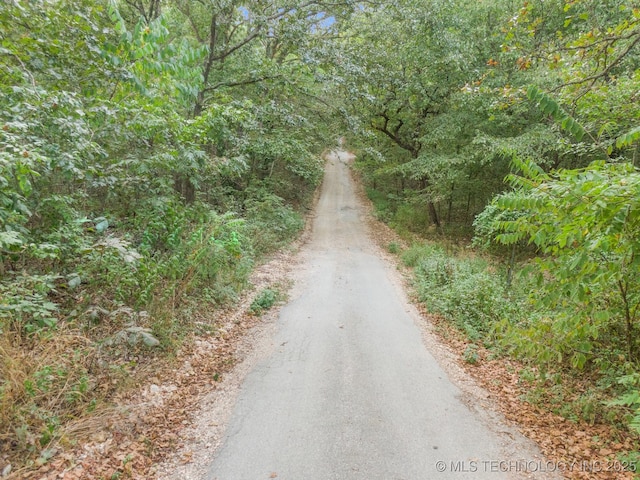 Bagby Ave, Jay, OK 74346 - photo 2