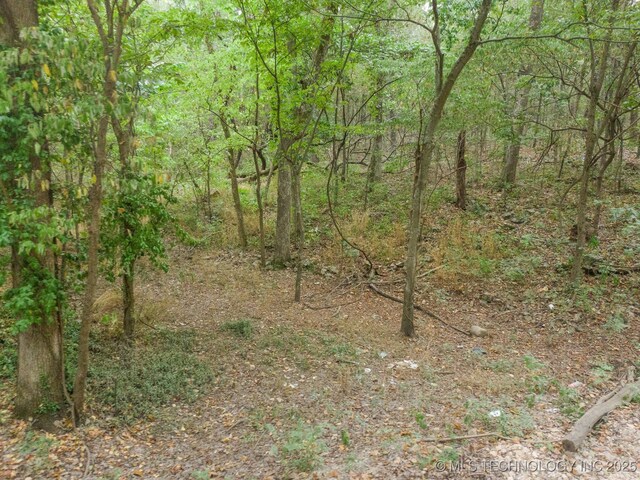 Bagby Ave, Jay, OK 74346 - photo 3