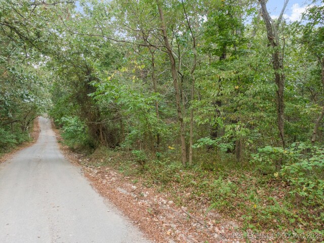 Bagby Ave, Jay, OK 74346 - photo 4