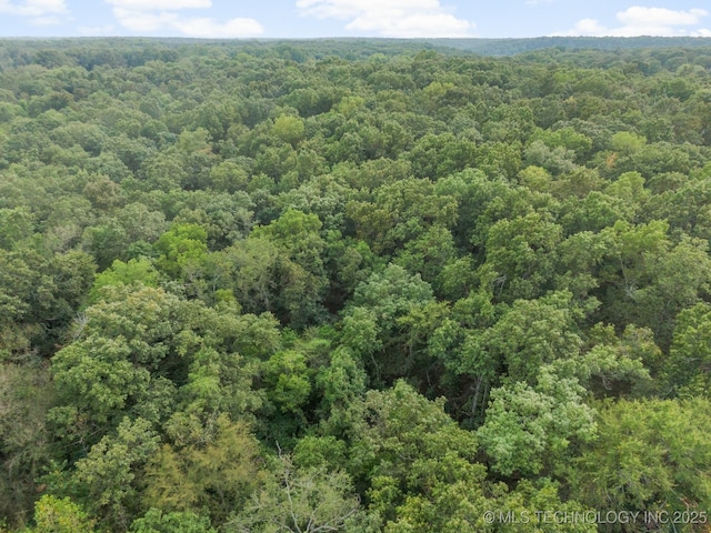 Bagby Ave, Jay, OK 74346 - photo 9