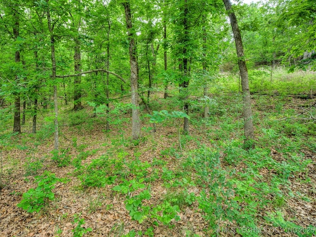 6551 S 41st St E, Muskogee, OK 74403 - view of woods