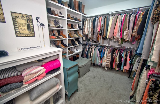 110 W Zachry Ln, Stigler, OK 74462 - walk in closet with carpet
