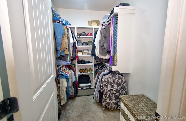 110 W Zachry Ln, Stigler, OK 74462 - walk in closet featuring carpet flooring