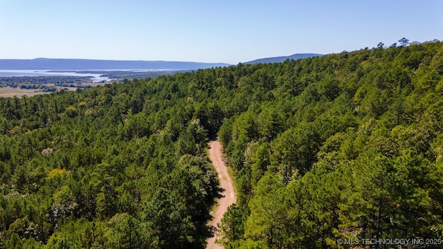 SW 235th St, Buffalo Valley, OK 74571