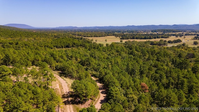 SW 235th St, Buffalo Valley, OK 74571