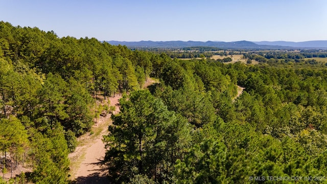 SW 235th St, Buffalo Valley, OK 74571