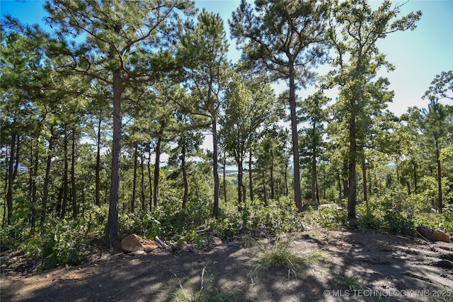 SW 235th St, Buffalo Valley, OK 74571