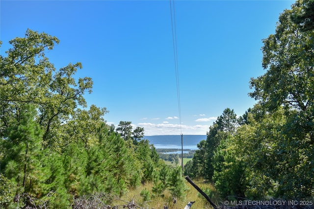 SW 235th St, Buffalo Valley, OK 74571