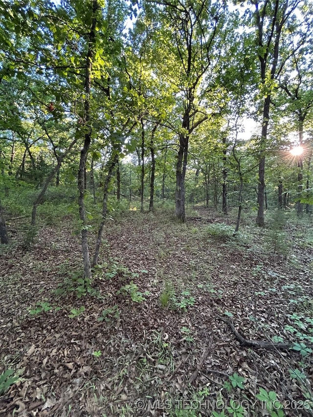 S 401 Street, Bristow, OK 74010