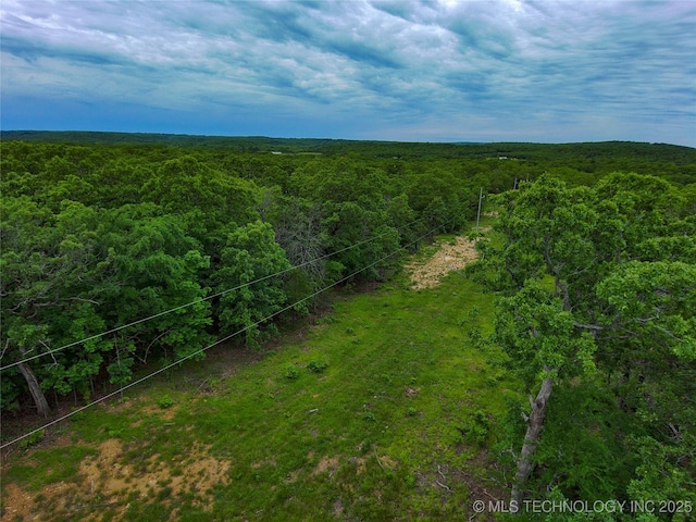 5077 N 384th Rd, Stuart, OK 74570 - drone / aerial view of a forest