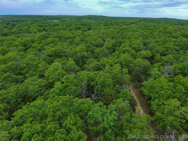 5077 N 384th Rd, Stuart, OK 74570 - drone / aerial view of a heavily wooded area
