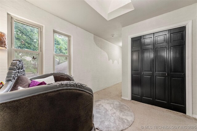 6315 E 98th Pl, Tulsa, OK 74137 - living area featuring carpet and a skylight