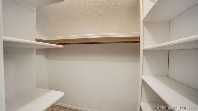 view of walk in closet