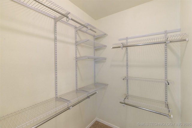 view of spacious closet