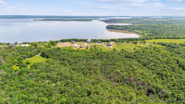 10442 E Lou Ridge Rd, Talala, OK 74080 - photo 51