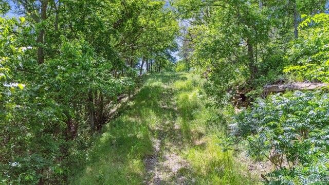 10442 E Lou Ridge Rd, Talala, OK 74080 - photo 54