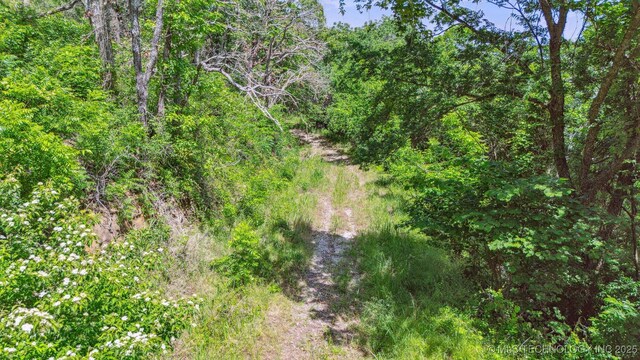 10442 E Lou Ridge Rd, Talala, OK 74080 - photo 55