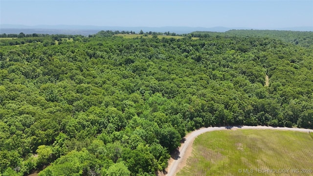 30190 W County Road 1240, Stigler, OK 74462 - aerial view of a heavily wooded area