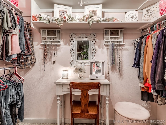 view of spacious closet