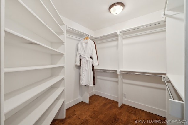 walk in closet with wood finished floors