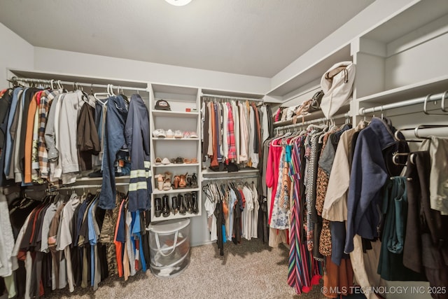 spacious closet featuring carpet