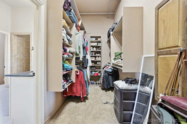 spacious closet with carpet