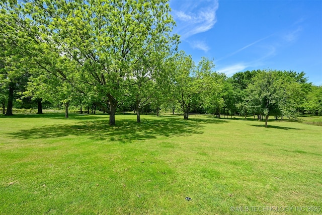 view of grassy yard