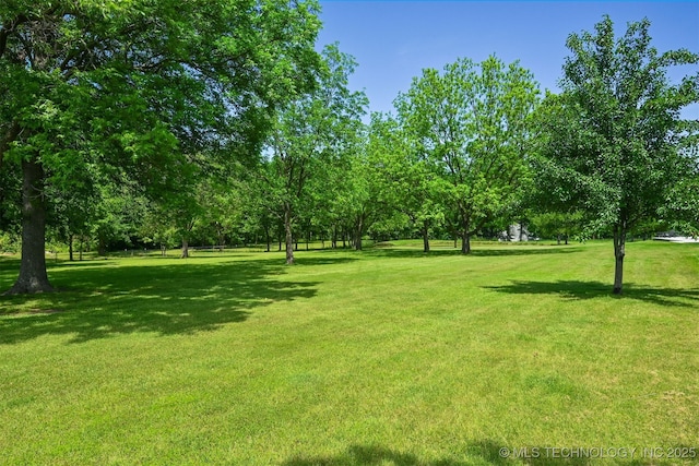 view of grassy yard featuring view of wooded area