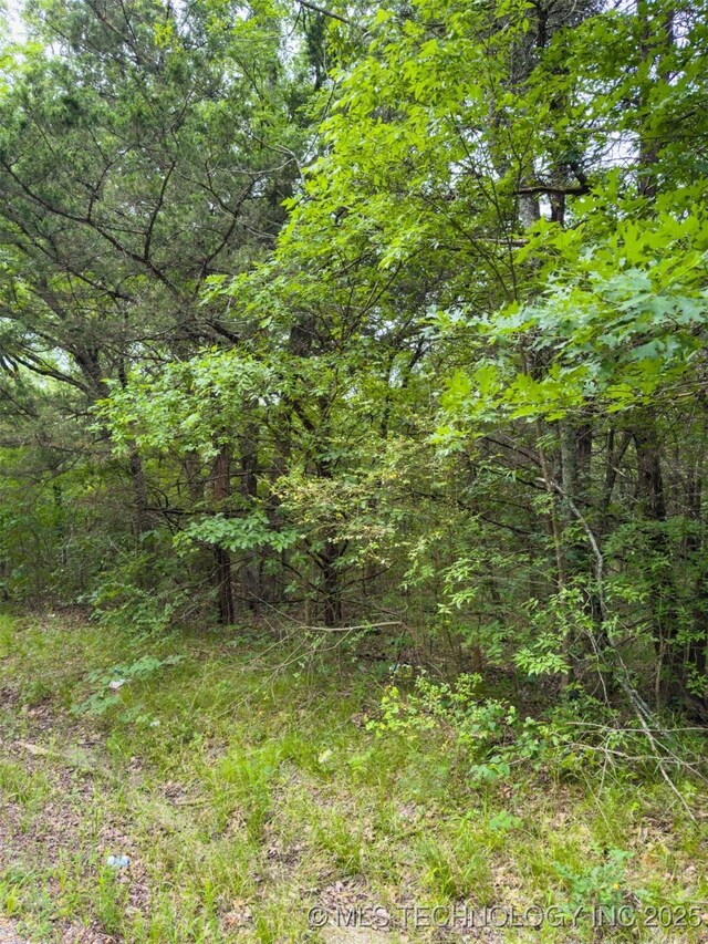 Bloomfield, Hendrix, OK 74741