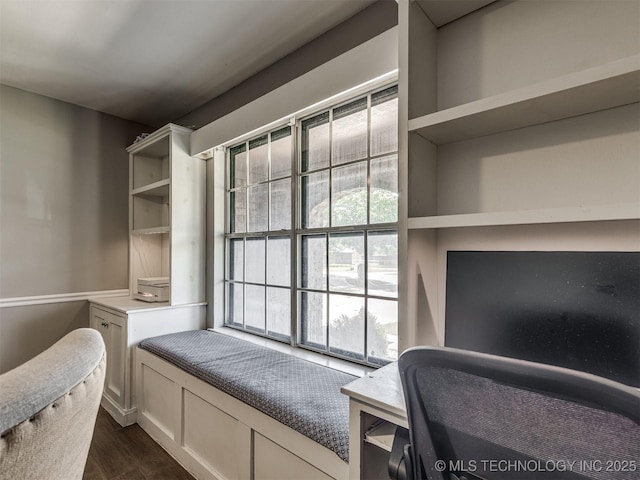 bedroom featuring dark wood-style flooring