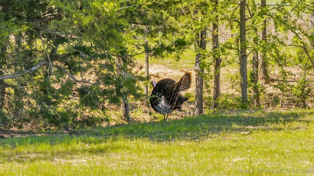 2750 Enterprise, Lone Grove, OK 73401 - view of nature