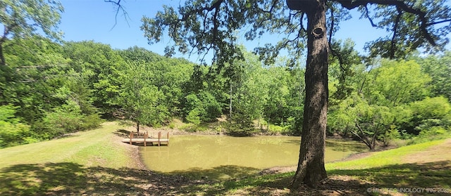 5328 Monroe Rd, Kingston, OK 73439 - view of yard with a forest view, a dock, and a water view