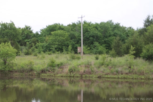 6363 S Brewer Rd, Kiowa, OK 74553 - water view with a forest