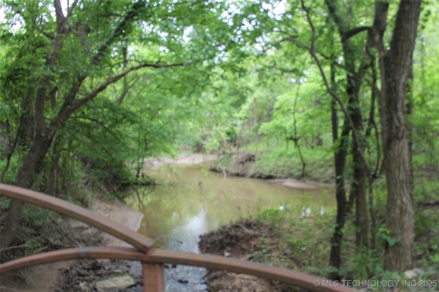 6363 S Brewer Rd, Kiowa, OK 74553 - water view with a heavily wooded area
