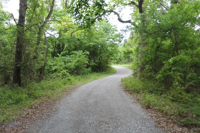 6363 S Brewer Rd, Kiowa, OK 74553 - view of road with a forest view