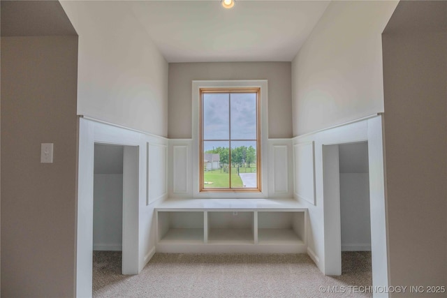 6407 N Blue Sage Dr, Owasso, OK 74055 - mudroom with light colored carpet, wainscoting, and a decorative wall
