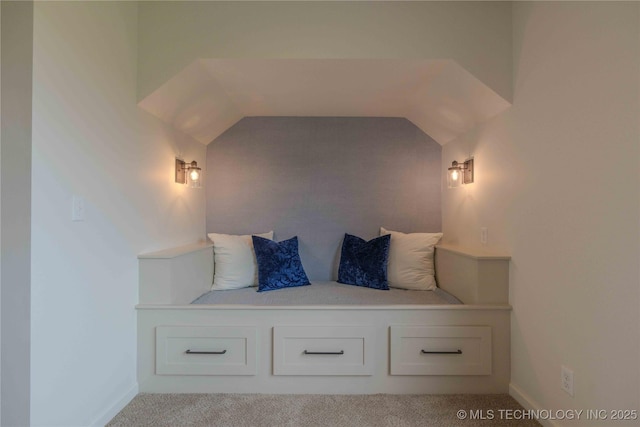 6407 N Blue Sage Dr, Owasso, OK 74055 - mudroom featuring carpet flooring and lofted ceiling