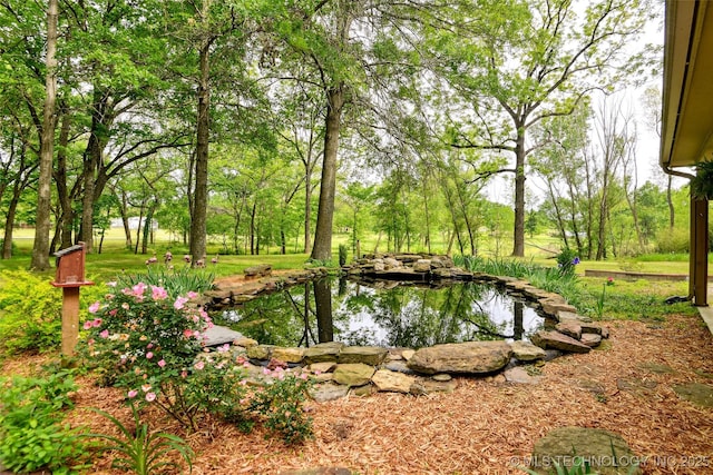 21304 S 4200th Rd, Claremore, OK 74019 - view of yard