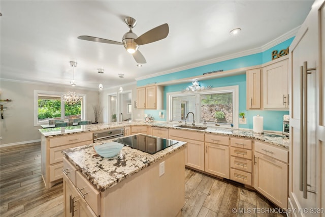 5094 N 209th W Ave, Sand Springs, OK 74063 - kitchen with a sink, black electric cooktop, light brown cabinets, ornamental molding, and paneled refrigerator