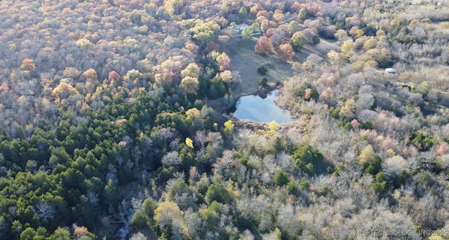 30998 S Molly Brown Rd, Cookson, OK 74427 - photo 88