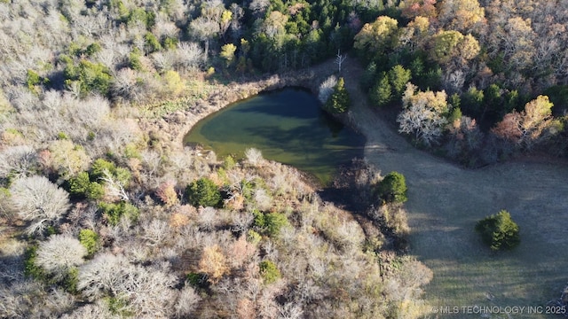 30998 S Molly Brown Rd, Cookson, OK 74427 - photo 89