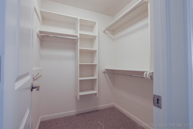 16958 E 45th St, Tulsa, OK 74134 - spacious closet with carpet flooring