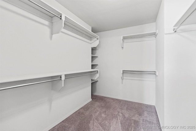 2000 W Vail St, Broken Arrow, OK 74012 - walk in closet featuring carpet floors