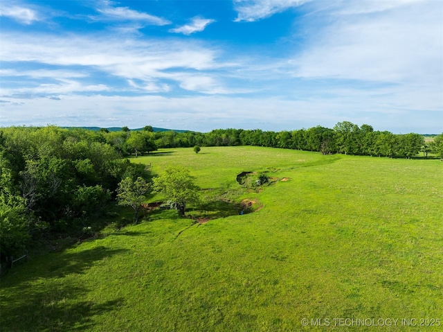 5378 W 450th Rd, Pryor, OK 74361 - view of yard