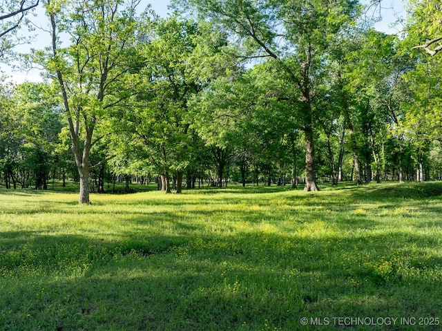 5378 W 450th Rd, Pryor, OK 74361 - view of yard