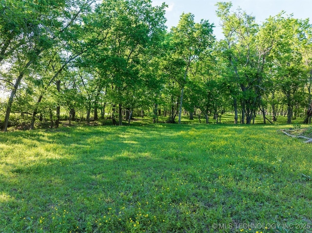 5378 W 450th Rd, Pryor, OK 74361 - view of yard