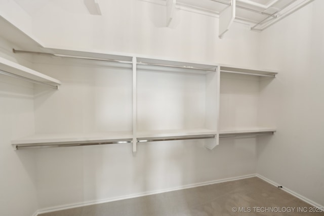 walk in closet featuring carpet