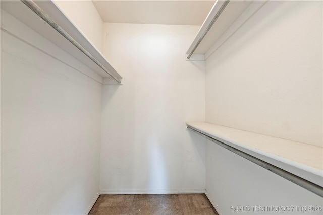 view of walk in closet