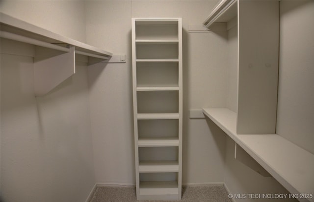 8242 S Sandusky Ave, Tulsa, OK 74137 - spacious closet featuring carpet flooring