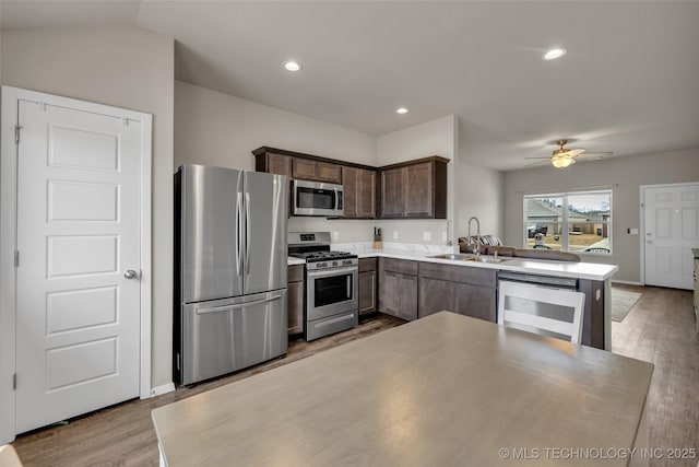 kitchen with stainless steel appliances, a sink, a ceiling fan, light wood-style flooring, and dark brown cabinetry